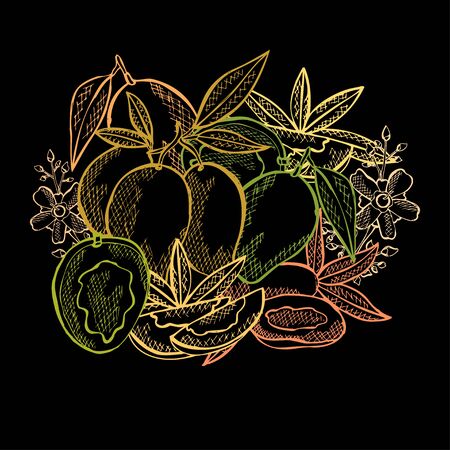 Hand drawn decorative mango fruits, design elements. Can be used for cards, invitations, scrapbooking, print, manufacturing. Food, kitchen themeのイラスト素材