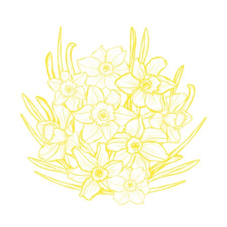 Decorative daffodil flowers, design elements. Can be used for cards, invitations, banners, posters, print design. Floral background in line art styleのイラスト素材