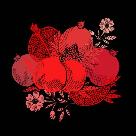 Hand drawn decorative pomegranate fruits, design elements. Can be used for cards, invitations, scrapbooking, print, manufacturing. Food, kitchen themeのイラスト素材