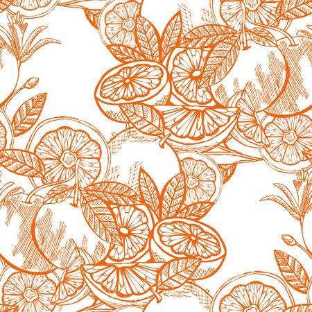Elegant seamless pattern with grapefruits, design elements. Fruit  pattern for invitations, cards, print, gift wrap, manufacturing, textile, fabric, wallpapers. Food, kitchen, vegetarian themeのイラスト素材