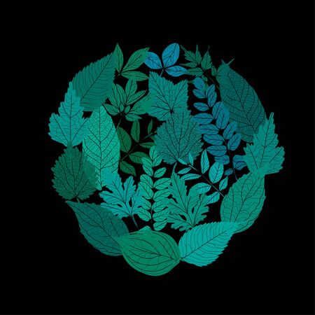 Decorative hand drawn leaves, design elements. Can be used for cards, invitations, banners, posters, print design. Floral background in line art styleの写真素材