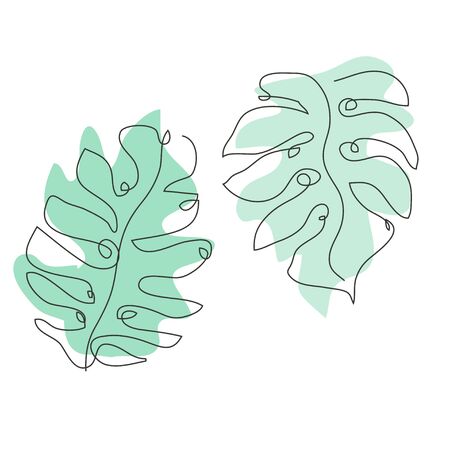 Decorative hand drawn monstera leaf, design element. Can be used for cards, invitations, banners, posters, print design. Continuous line art styleのイラスト素材