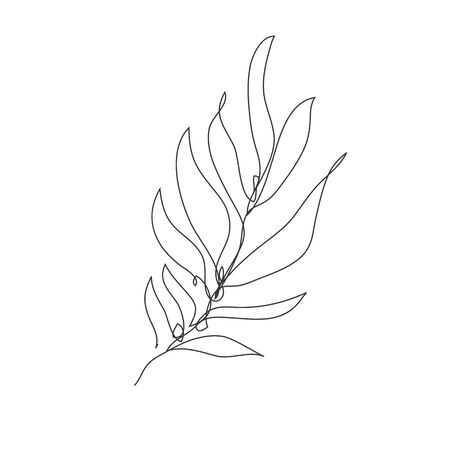 Decorative hand drawn palm leaf, design element. Can be used for cards, invitations, banners, posters, print design. Continuous line art styleのイラスト素材