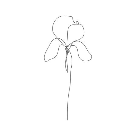 Continuous line decorative hand drawn iris flower, design element. Can be used for cards, invitations, banners, posters, print designのイラスト素材