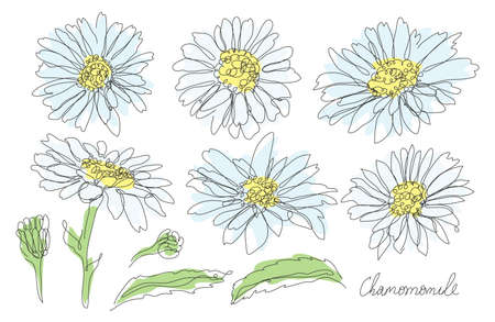 Decorative hand drawn chamomile flowers set, design elements. Can be used for cards, invitations, banners, posters, print design. Continuous line art styleのイラスト素材