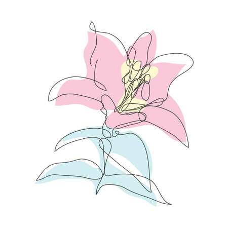 Decorative hand drawn liy flower, design element. Can be used for cards, invitations, banners, posters, print design. Continuous line art styleのイラスト素材