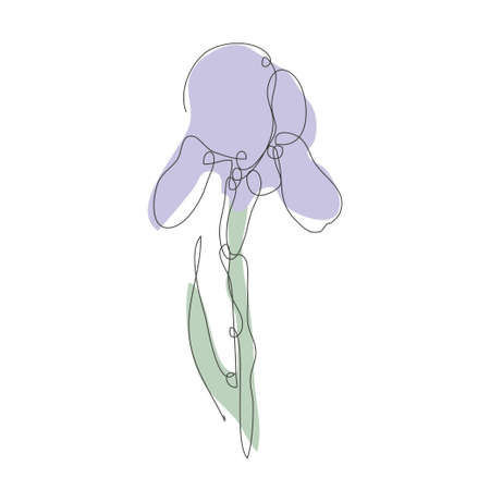 Decorative hand drawn iris flower, design element. Can be used for cards, invitations, banners, posters, print design. Continuous line art styleのイラスト素材