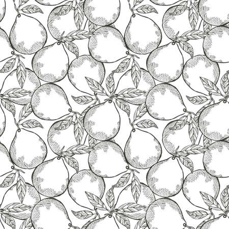 Elegant seamless pattern with pomelo fruits, design elements. Fruit  pattern for invitations, cards, print, gift wrap, manufacturing, textile, fabric, wallpapers. Food, kitchen, vegetarian themeのイラスト素材