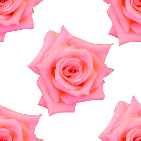 Elegant seamless pattern with pink rose flowers, design elements. Floral pattern for invitations, greeting cards, scrapbooking, print, gift wrap, manufacturing, textileの写真素材