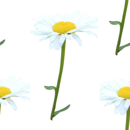 Elegant seamless pattern with chamomile flowers, design elements. Floral pattern for invitations, greeting cards, scrapbooking, print, gift wrap, manufacturing, textileの写真素材