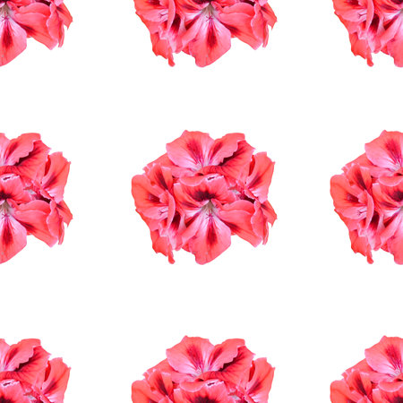 Elegant seamless pattern with pink geranium flowers, design elements. Floral pattern for invitations, greeting cards, scrapbooking, print, gift wrap, manufacturing, textileの写真素材