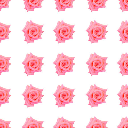 Elegant seamless pattern with pink rose flowers, design elements. Floral pattern for invitations, greeting cards, scrapbooking, print, gift wrap, manufacturing, textileの写真素材