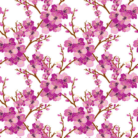 Elegant seamless pattern sakura cherry blossom with flowers, design elements.のイラスト素材