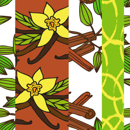 Elegant seamless pattern with vanilla and cinnamon, design elements. Spices  pattern for cards, print, gift wrap, manufacturing, textile, fabric, wallpapers. Food, kitchen, vegetarian themeのイラスト素材