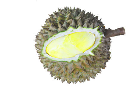 Durian on white background.The king of fruit from Thailand.の写真素材