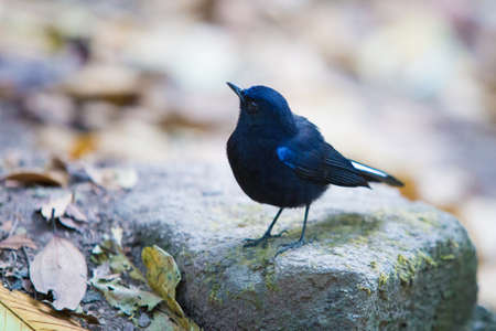 Arrayの写真素材