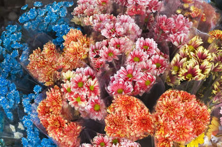 KONICA DIGITAL CAMERAの写真素材