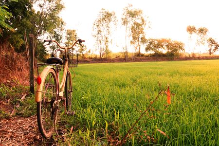 Park the bike at the fields.の写真素材