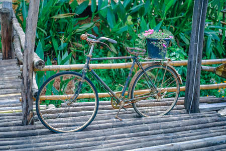 Old bicycleの写真素材