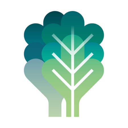 green oak vector illustration in gradient designのイラスト素材