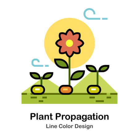 Plant growing In Line Color Design illustrationのイラスト素材