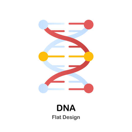 DNA Chromosome Flat vector Illustrationのイラスト素材