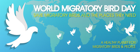 World Migratory Bird Day vector illustration.のイラスト素材