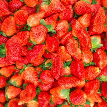 heap of fresh strawberry 