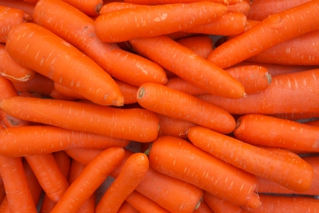 fresh carrots piled in market の写真素材