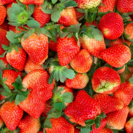 fresh strawberry in street marketの写真素材