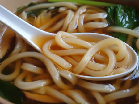 udon, japanese noodle の写真素材