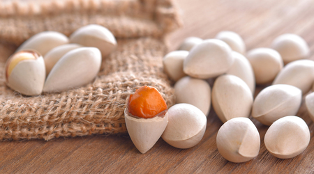 Ginkgo seeds on the tableの写真素材