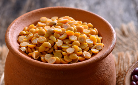soybean