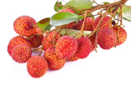 Lychee on a white backgroundの写真素材