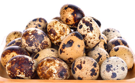 Quail eggs on a white backgroundの写真素材