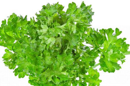 Petroselinum crispum on white backgroundの写真素材