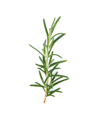 Rosemary isolated on white backgroundの写真素材