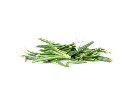 Rosemary isolated on white backgroundの写真素材