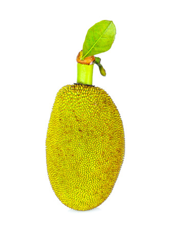 Jackfruit on white background
