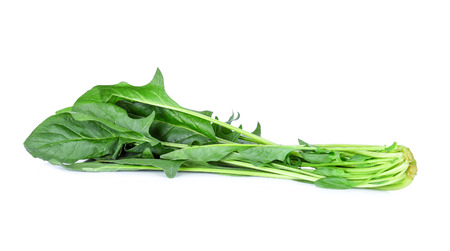 Spinach on white backgroundの写真素材