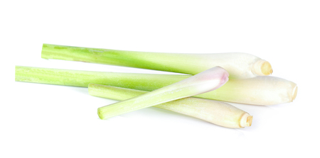 Lemongrass on a white backgroundの写真素材