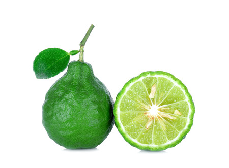 Bergamot on white backgroundの写真素材