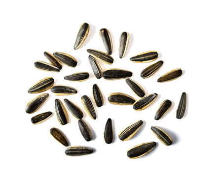 Sun flower seeds on white backgroundの写真素材