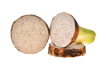 Taro isolated on white backgroundの写真素材