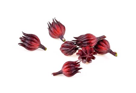 okra flower isolated on white backgroundの写真素材