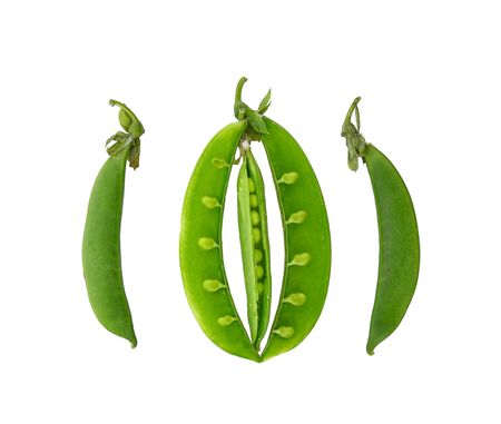 Sugar Pea on white background