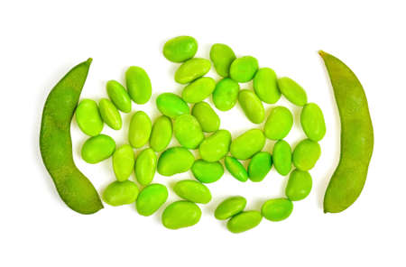 soybean seed on white backgroundの写真素材