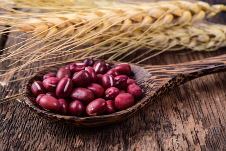 Red beans in wood spoon on woodenの写真素材