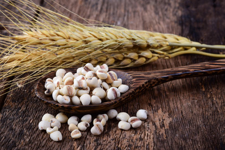 Millet in wood spoon on woodenの写真素材