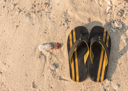Slippers on sandy beachの写真素材